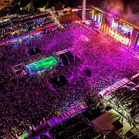 Bigger Group Next To The Appartement