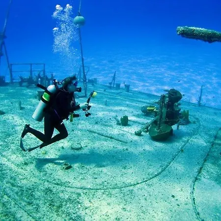 Bigger Group Next To The Appartement
