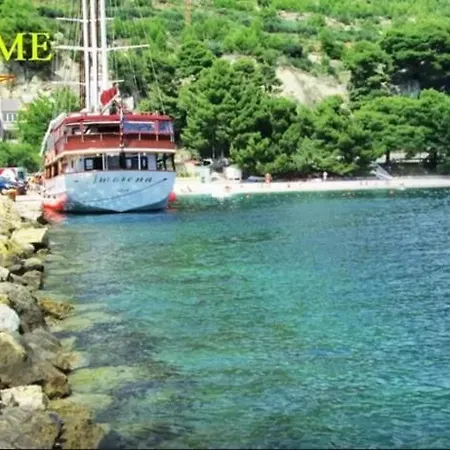 Bigger Group Next To The Appartement