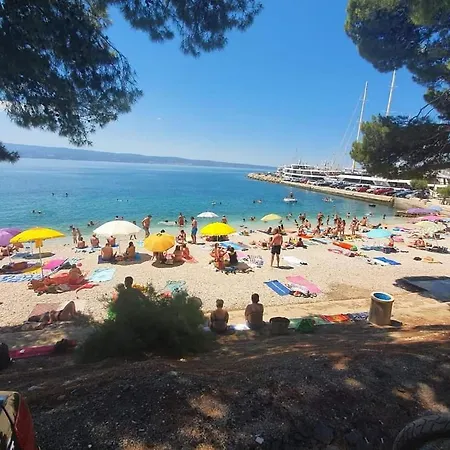 Bigger Group Next To The Apartament