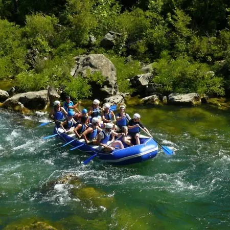 Bigger Group Next To The Jesenice (Split-Dalmatia)